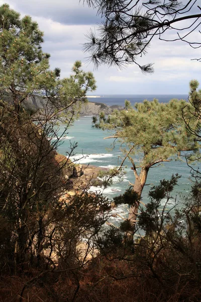 La Ñora Beach