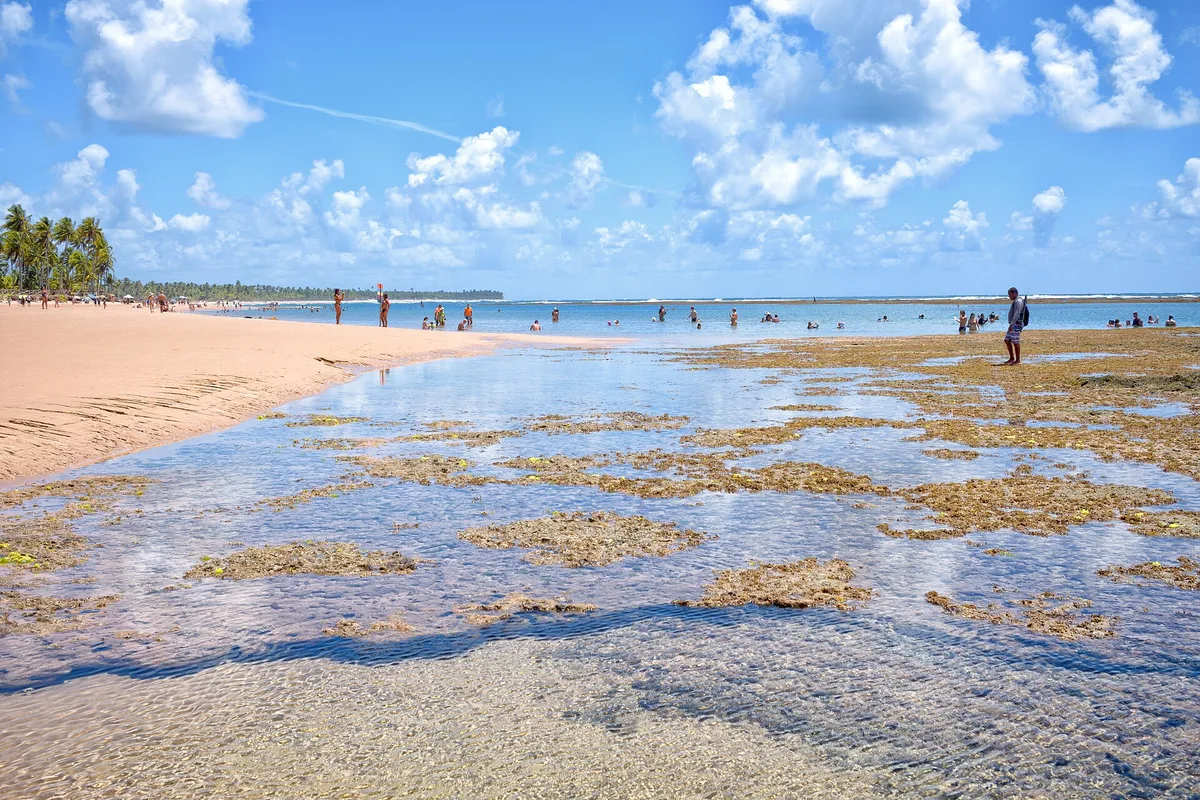Playa de Taipu de Fora, Maraú, Brazilian Atlantic, Brasil