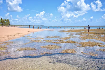 Taipu de Fora Beach