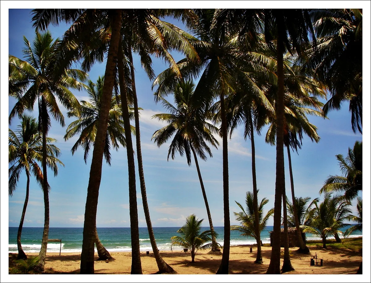Playa de Taipu de Fora, Maraú, Brazilian Atlantic, Brasil — 4