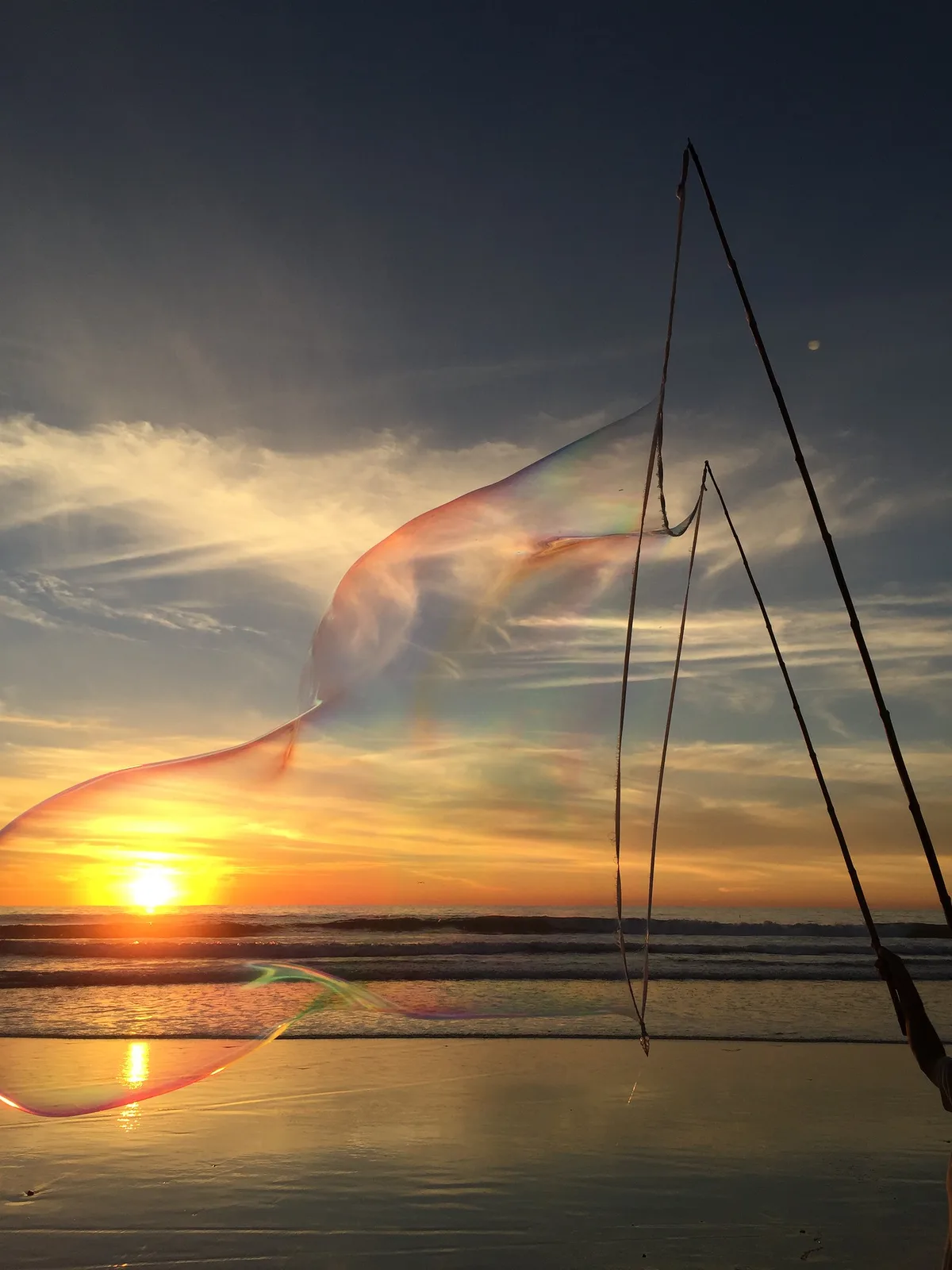 Moonlight State Beach, Encinitas, California Coast, United States — 3
