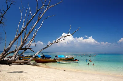 Elephant Beach