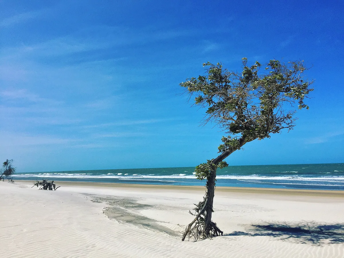 Malhada Beach, Jijoca de Jericoacoara, Northeast Brazil, Brazil — 2