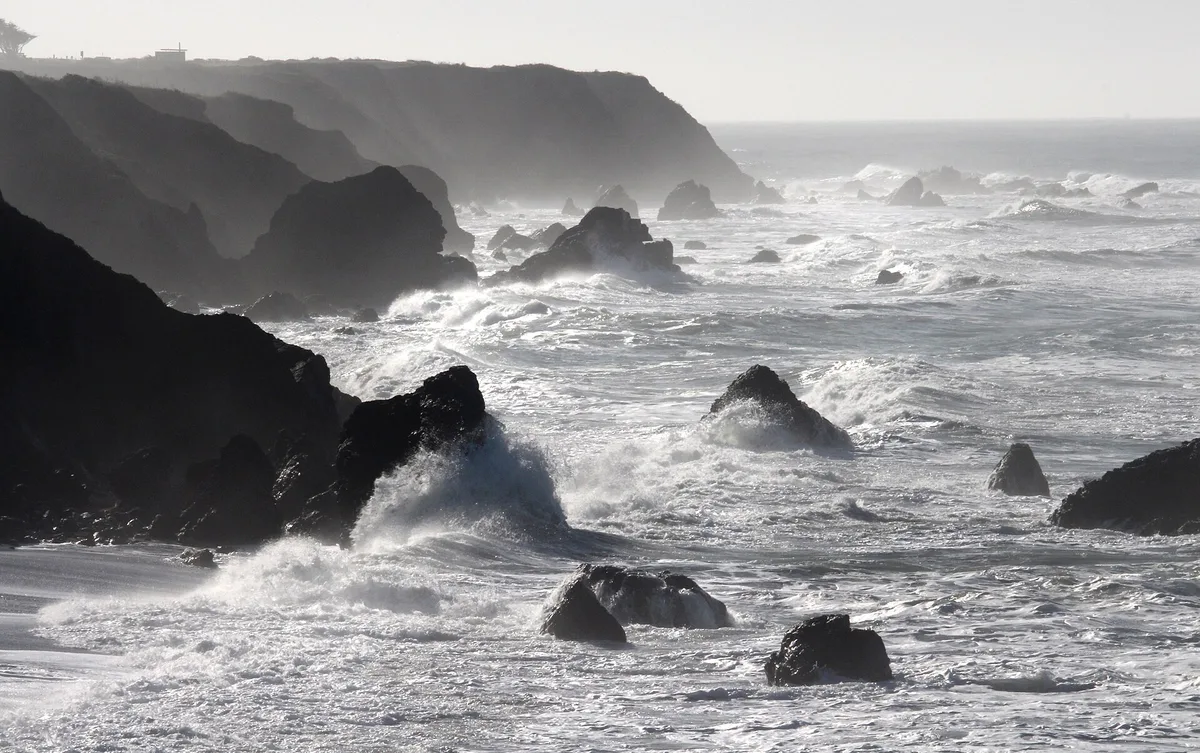 Westport-Union Landing State Beach, Westport, California Coast, United States — 3