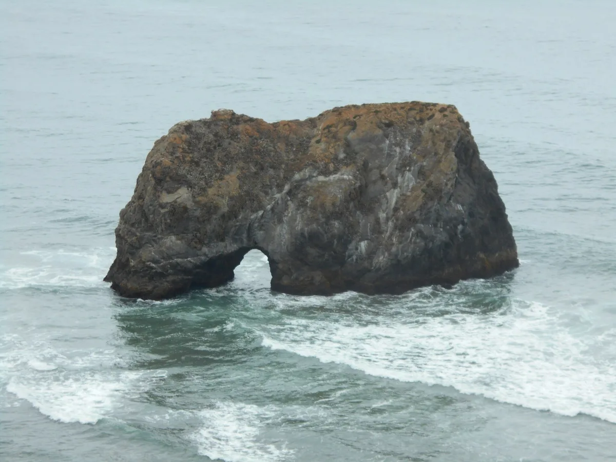 Westport-Union Landing State Beach, Westport, California Coast, United States