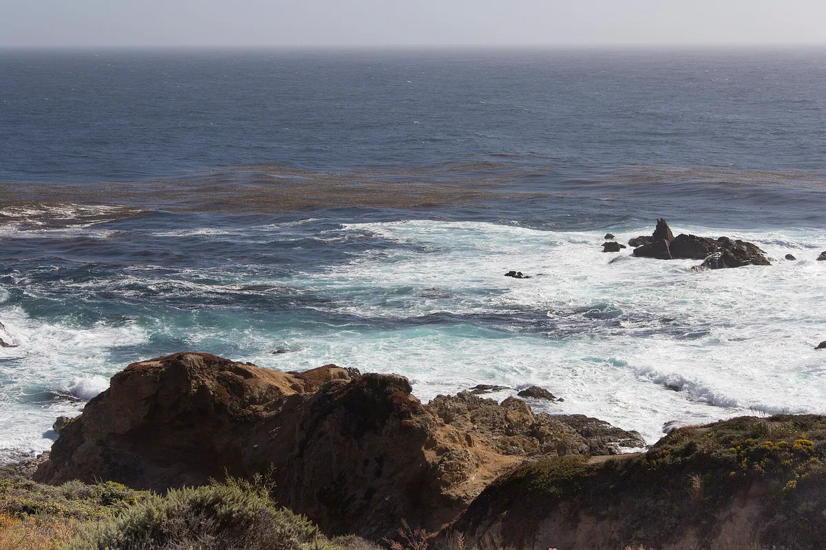 Spiaggia di Andrew Molera State Park, Big Sur, Monterey County, California Coast, Stati Uniti — 6
