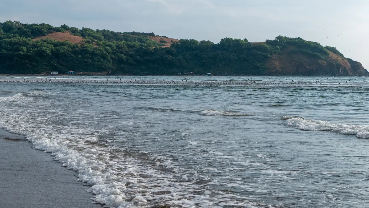 Morjim Beach, Morjim, Indian West Coast, India — 3