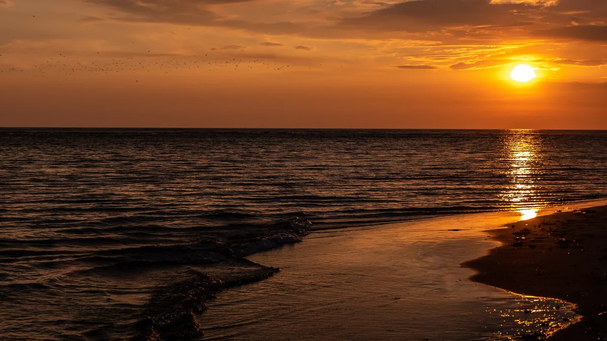 Morjim Beach, Morjim, Indian West Coast, India