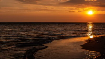 Morjim Beach