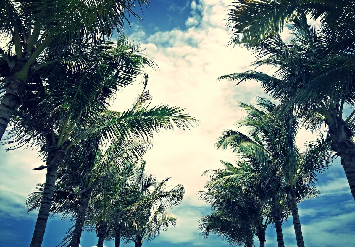 Haulover Beach, Miami-Dade County (unincorporated), Florida, United States — 4