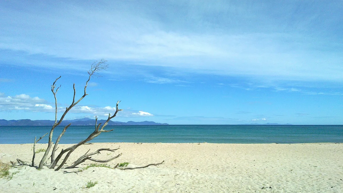 Kuaotunu Beach, Thames-Coromandel District, Waikato, New Zealand