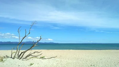 Kuaotunu Beach