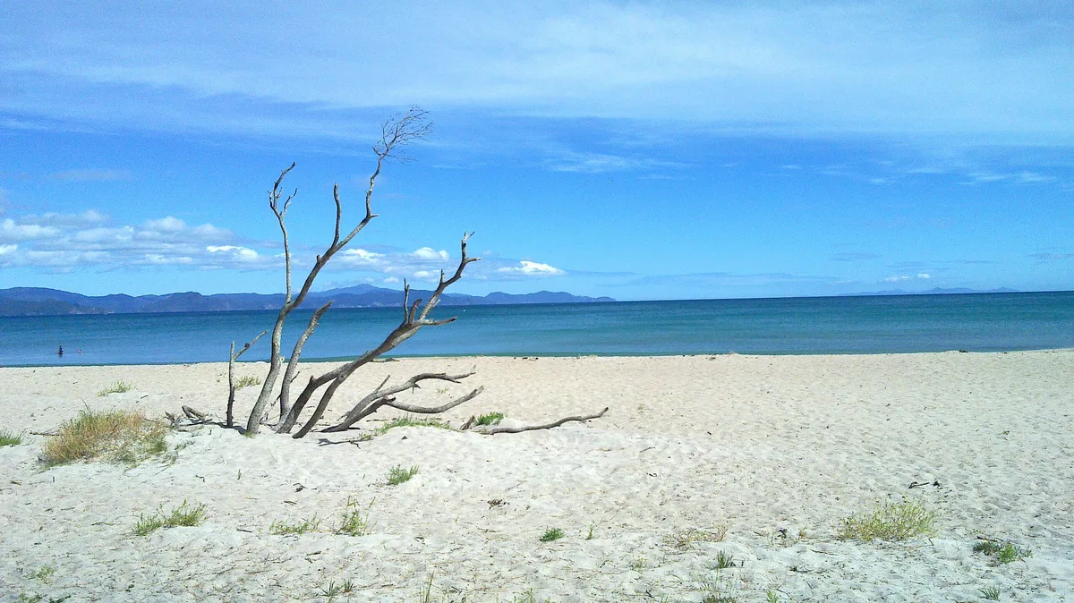 Kuaotunu Beach, Thames-Coromandel District, Waikato, New Zealand — 3