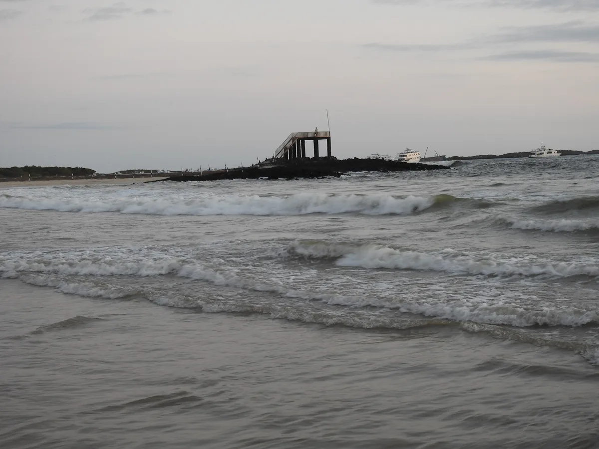 Caleta Iguana Beach, Isabela, Galápagos, Ecuador — 3
