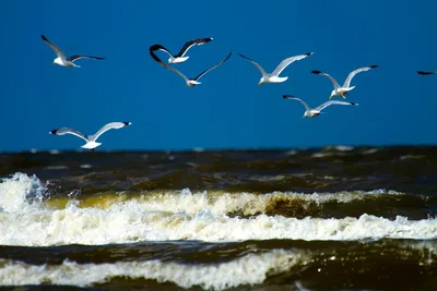 Paal 25 Beach, Texel, North Holland, Netherlands — 6