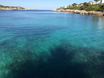 Caló d'es Pou Beach