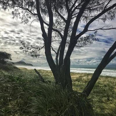 Tallows Beach — Cosy Corner, Byron Bay, Australian East Coast, Australia — 5