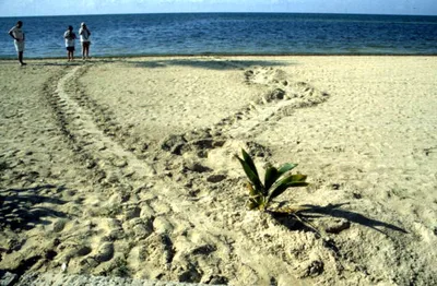 South Beach, Key West, Florida Keys, United States — 5