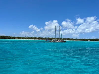 Saona Island Beach