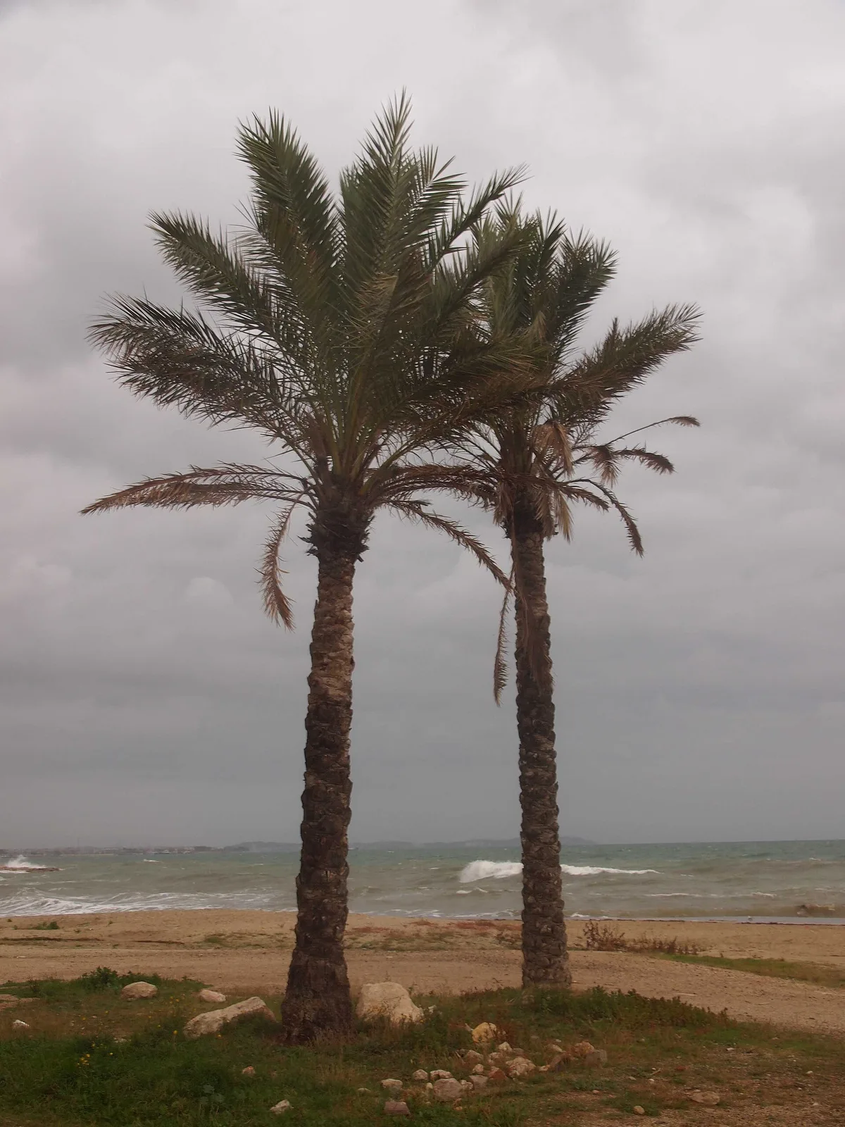Cambrils-Strand, Cambrils, Catalonia, Spanien — 2