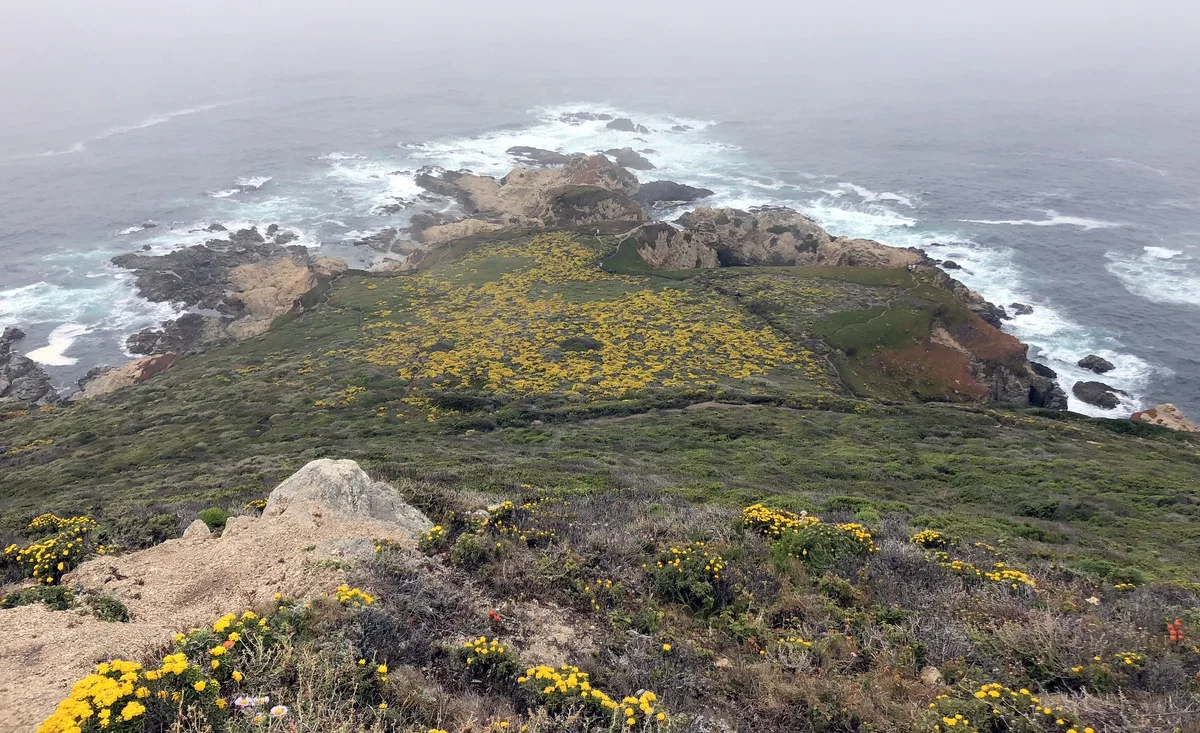 Playa del Soberanes Point, Carmel Highlands, Monterey County, California Coast, Estados Unidos — 3