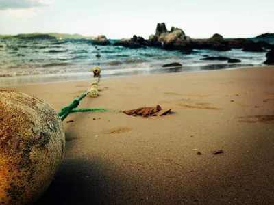 Marble Beach, Kinniya, Eastern Province, Sri Lanka — 2