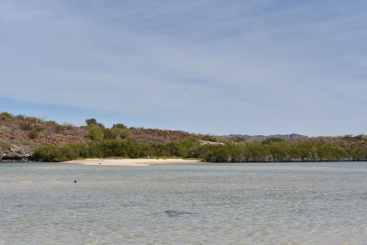 El Requesón Beach, Mulegé, Baja California Sur, Mexico — 2