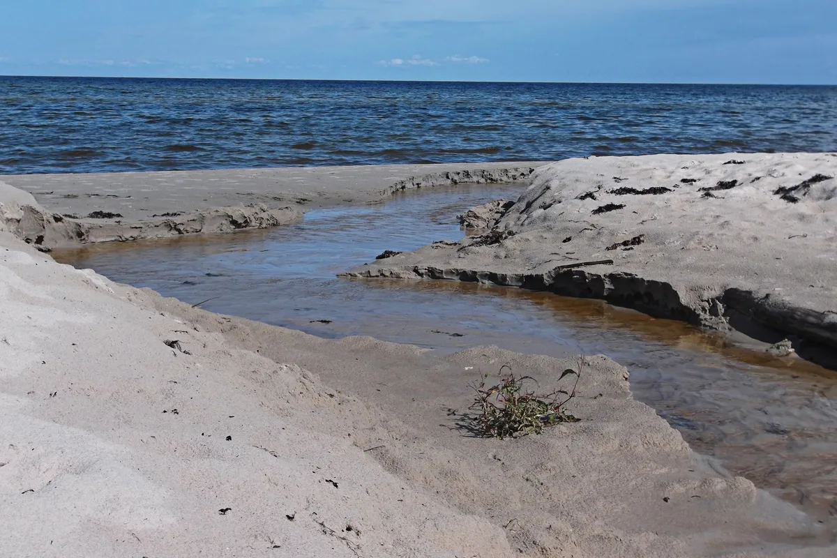Ragaciems-strand, Engure, Baltic Sea Coast, Latvia — 2