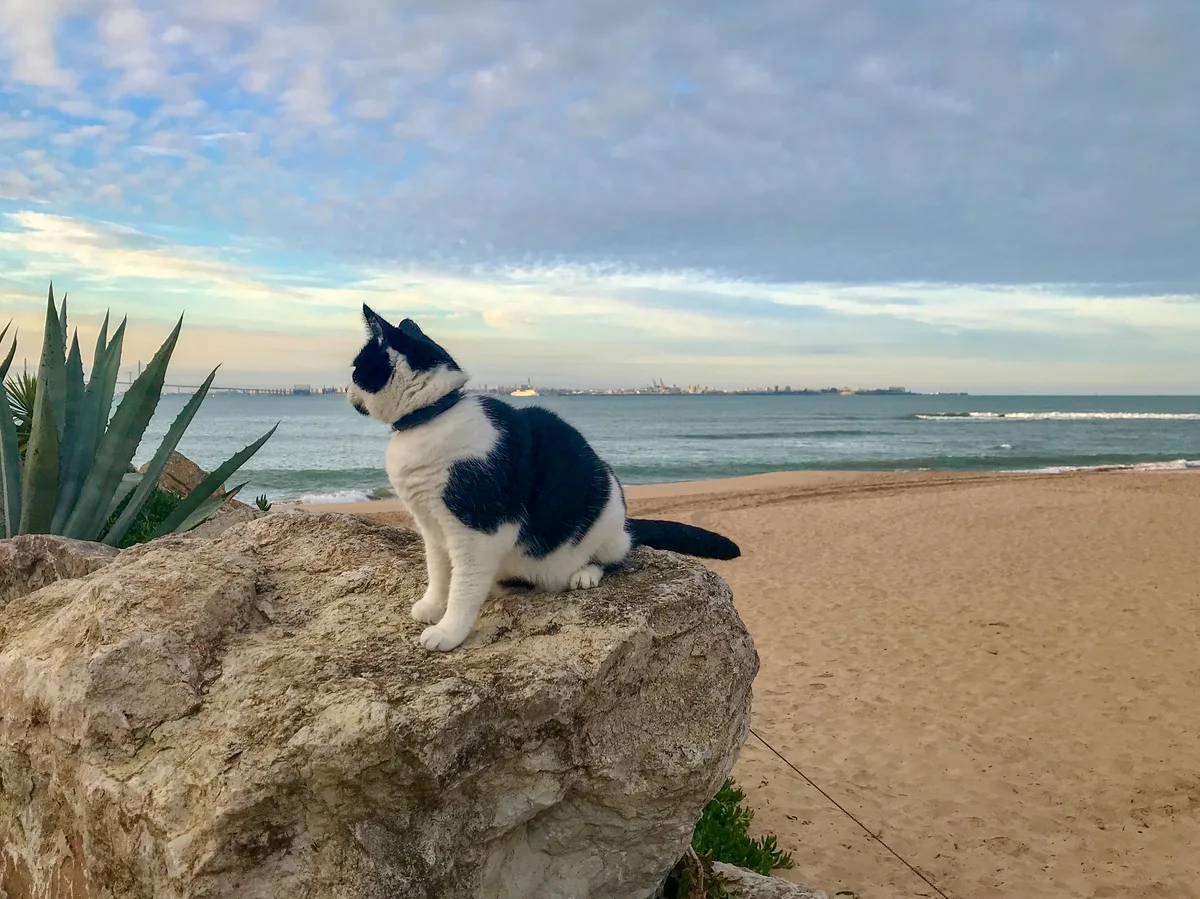 Praia da Muralla, El Puerto de Santa María, Andalusia, Espanha — 2