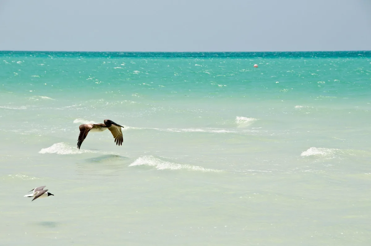 Xaloc Beach, Lázaro Cárdenas, Yucatan Peninsula, Mexico — 5
