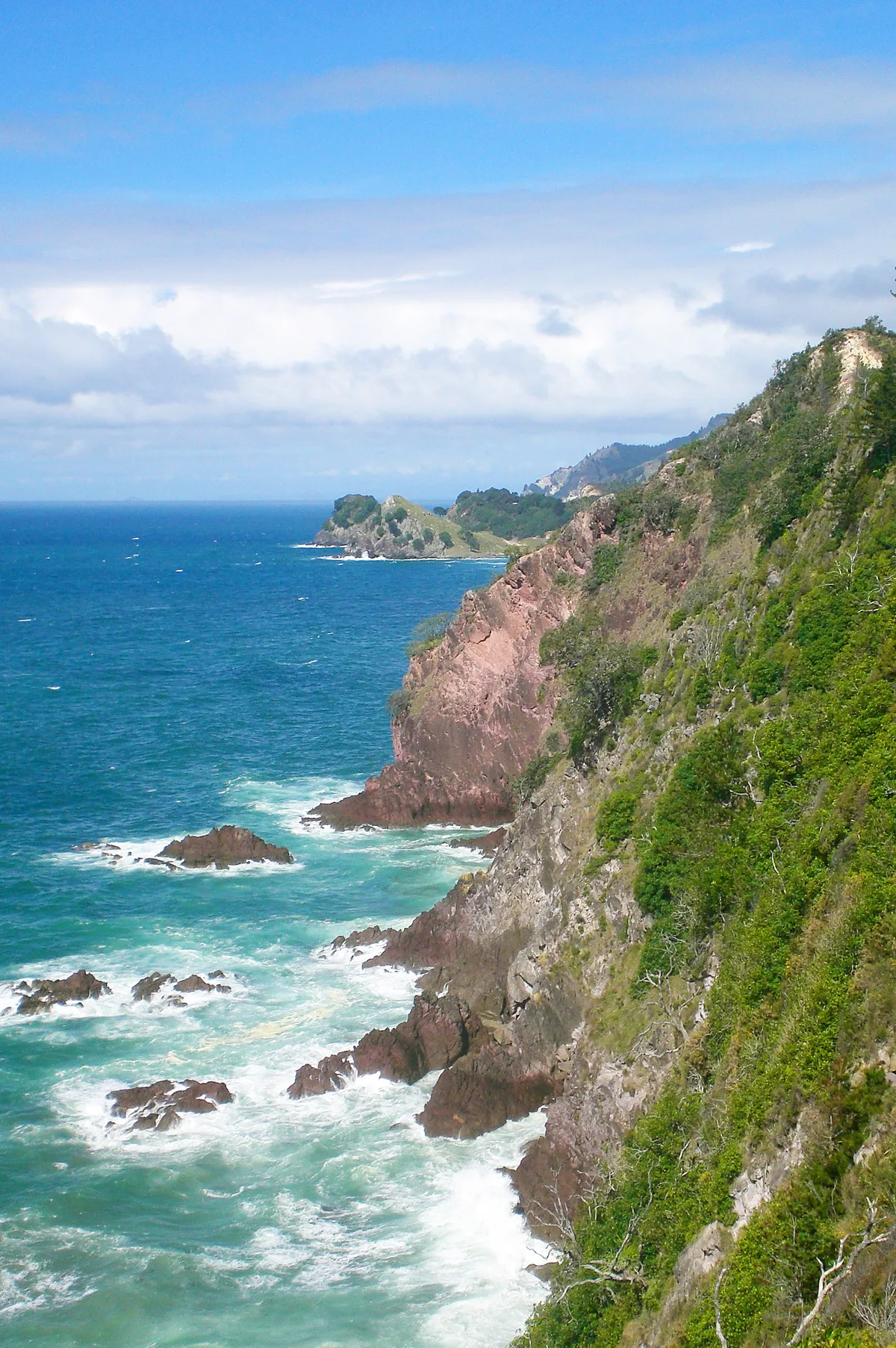 Whiritoa Beach, Whiritoa, Waikato, New Zealand — 2