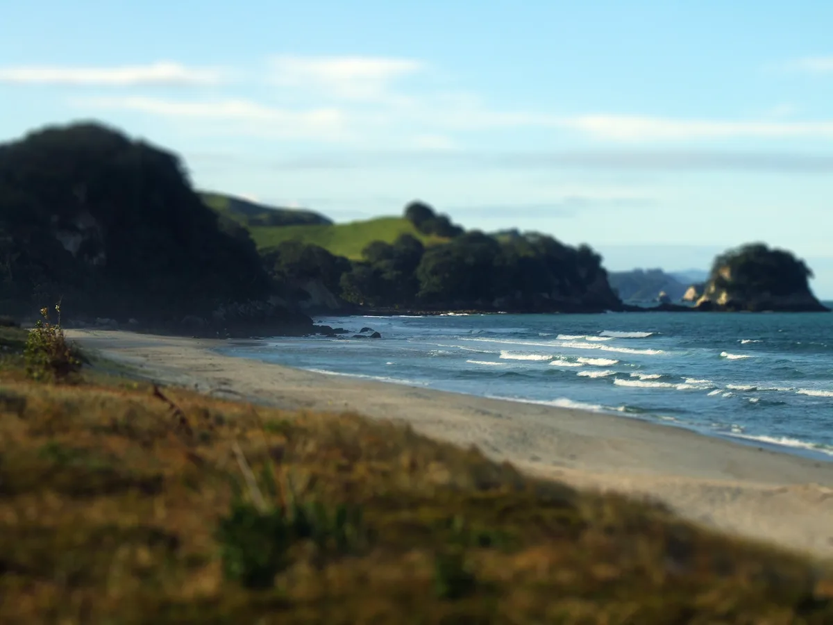 Whiritoa Beach, Whiritoa, Waikato, New Zealand