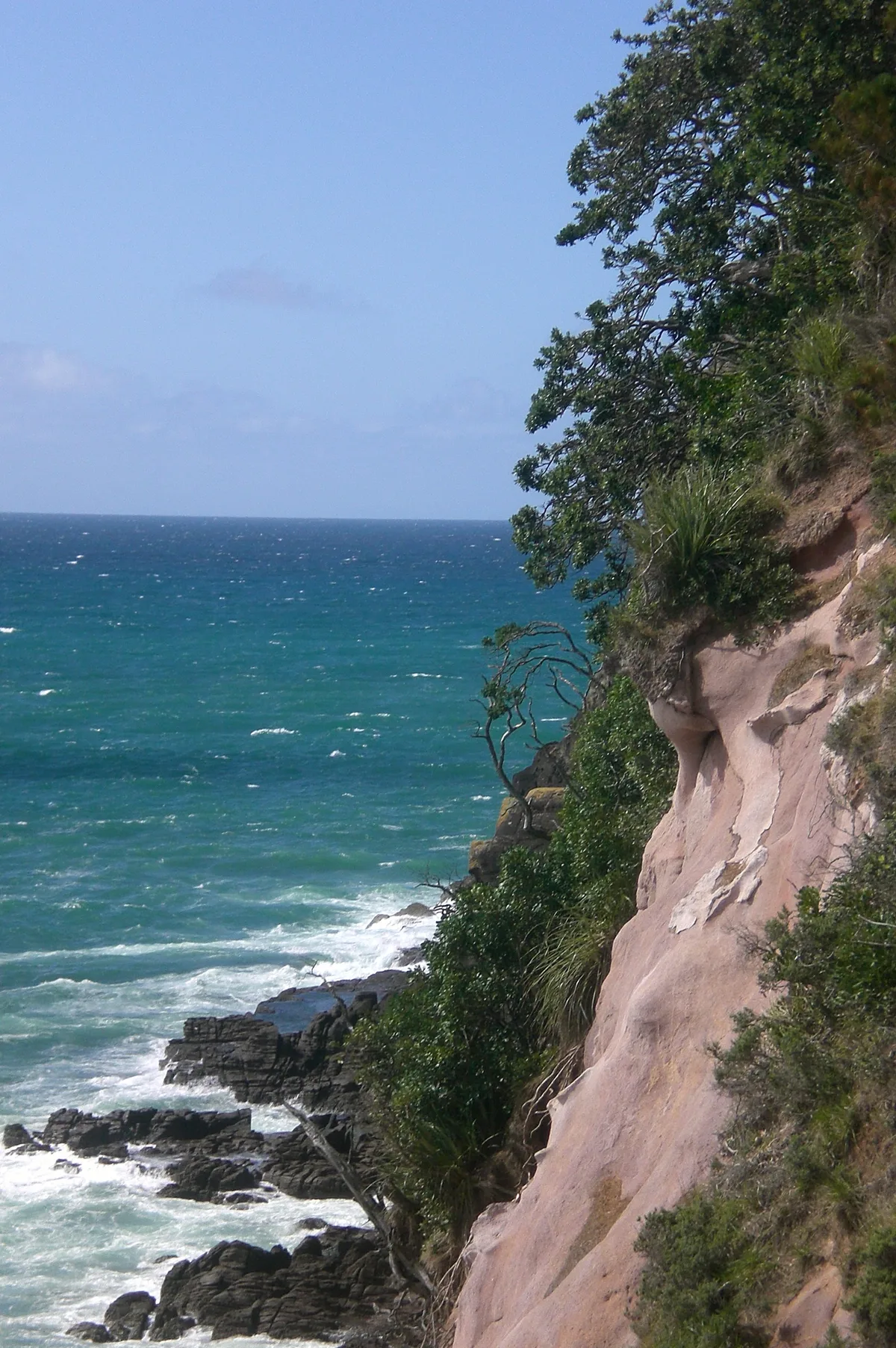 Whiritoa Beach, Whiritoa, Waikato, New Zealand — 4