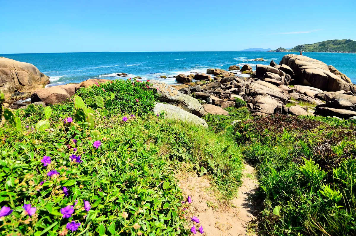 Galheta Beach, Florianópolis, Brazilian Atlantic, Brazil — 5