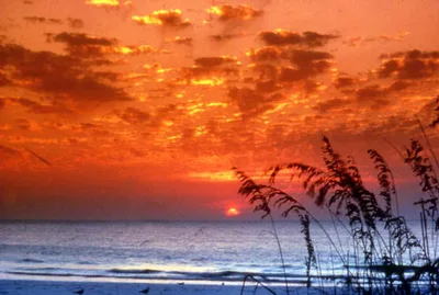 Sunset Beach, Tarpon Springs, Florida, United States — 2