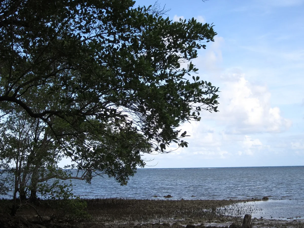 Boipeba Beach, Cairu, Brazilian Atlantic, Brazil — 4