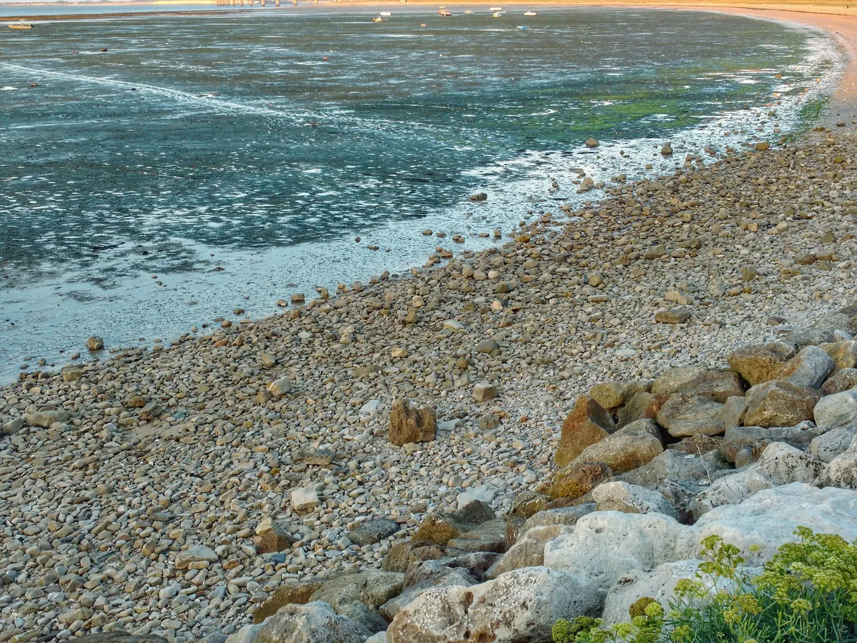 Sablanceaux Beach, Rivedoux-Plage, Nouvelle-Aquitaine, France — 6