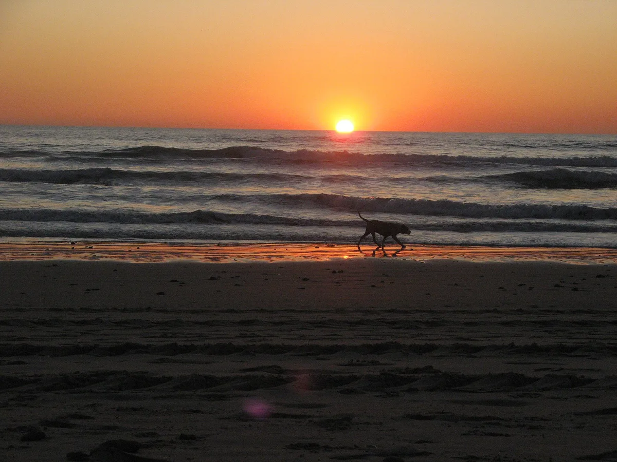 Fontanilla-Strand, Conil de la Frontera, Andalusia, Spanien