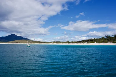 Coles Bay Beach