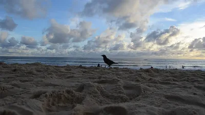 Karon Beach, Karon, Andaman Sea, Thailand — 2