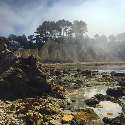 Bowling Ball Beach, Point Arena, California Coast, Estados Unidos — 3