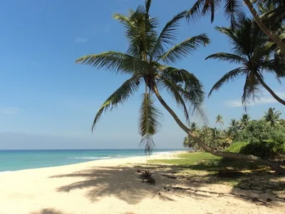 Ambalangoda Beach, Ambalangoda, Sri Lanka, Sri Lanka — 3