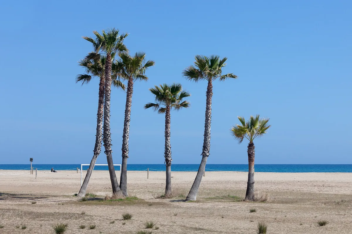 Coma-ruga-Strand, El Vendrell, Catalonia, Spanien — 5