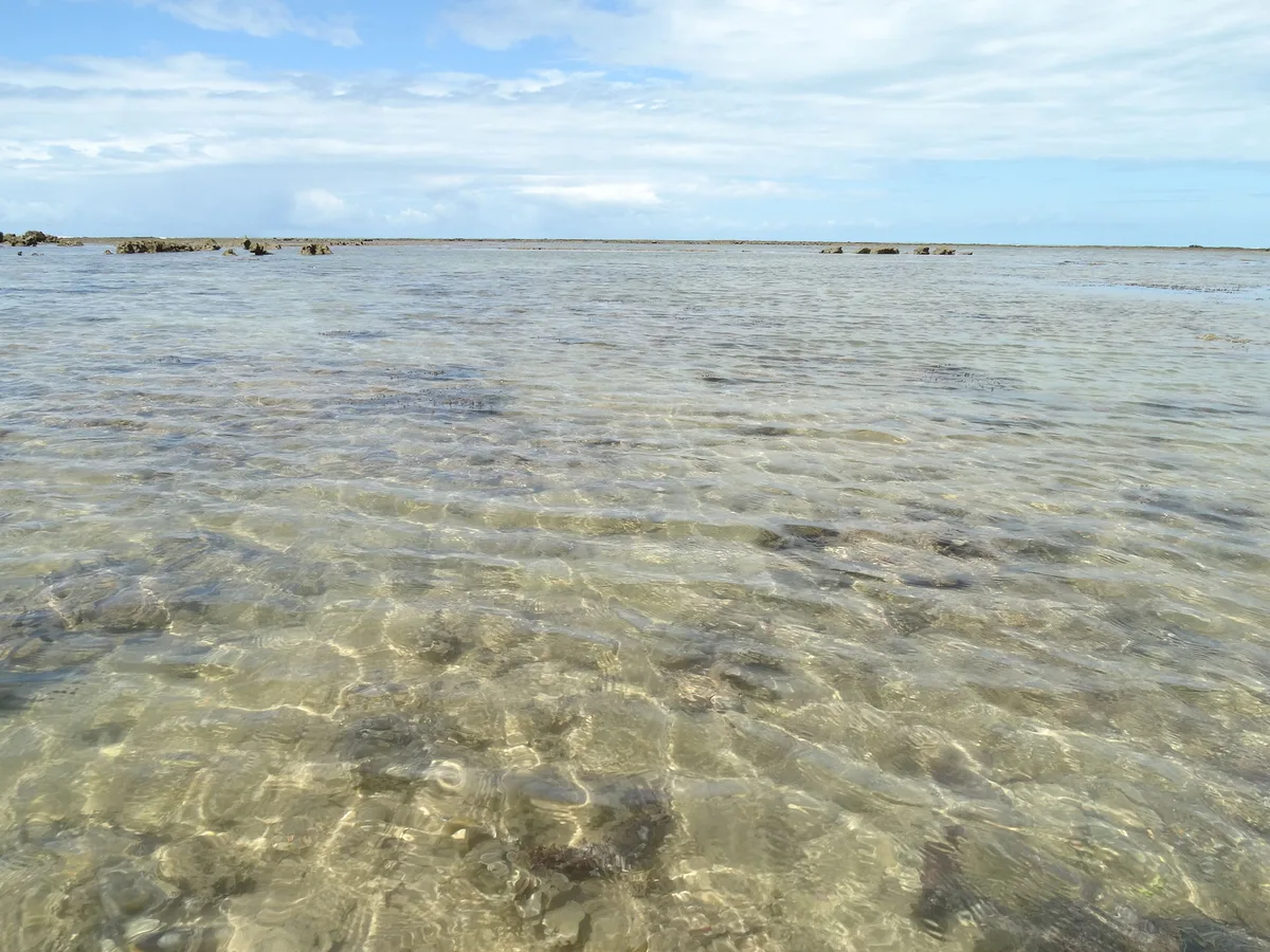 Caraíva Beach, Porto Seguro, Brazilian Atlantic, Brazil — 5