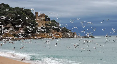 Lloret de Mar Beach