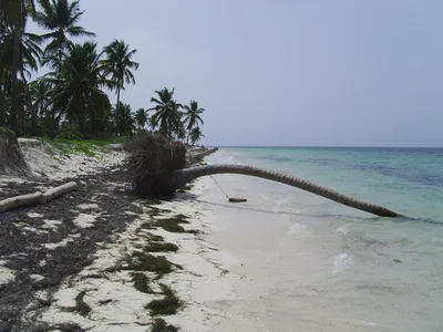 Cabeza de Toro Beach