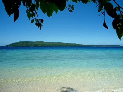 Lelepa Island Beach