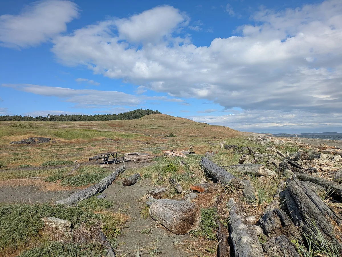 South Beach, Friday Harbor, US Pacific Northwest, United States — 5