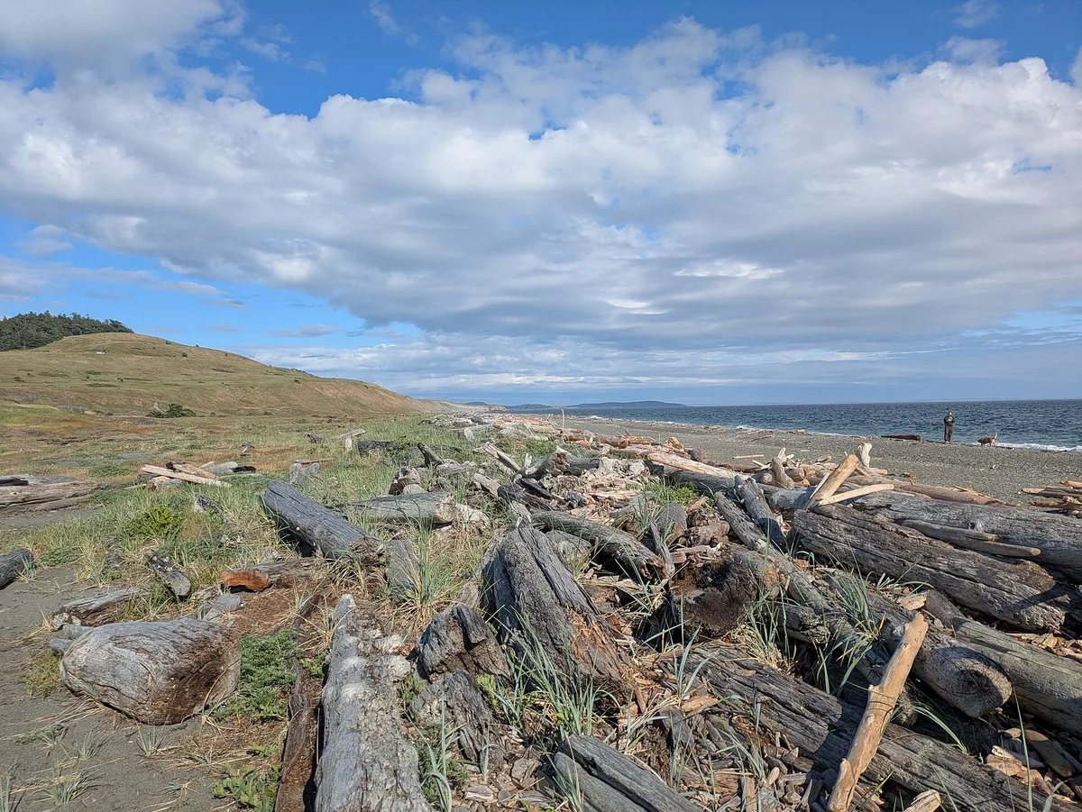 South Beach, Friday Harbor, US Pacific Northwest, United States — 3