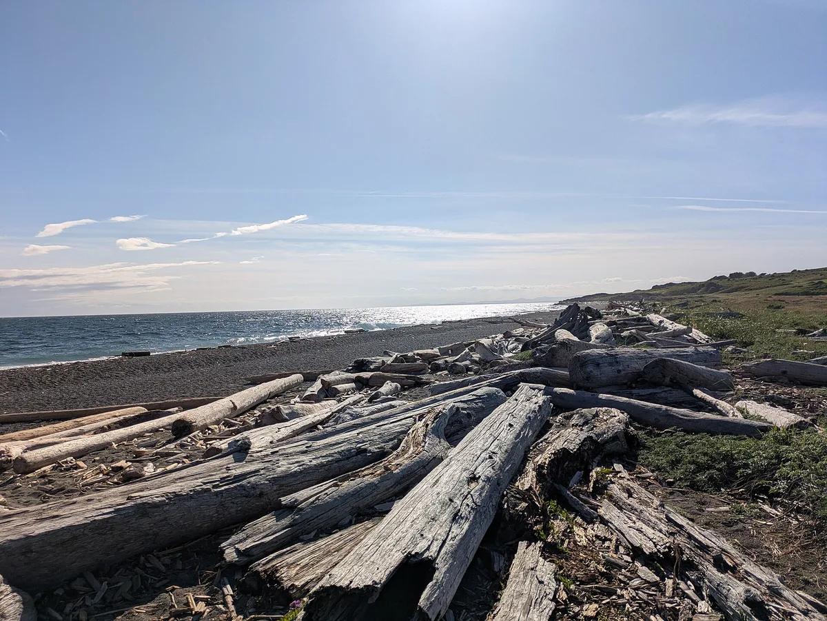 South Beach, Friday Harbor, US Pacific Northwest, United States — 4